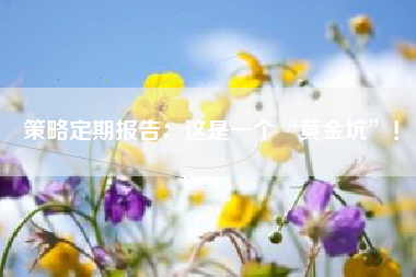 策略定期报告：这是一个“黄金坑”！