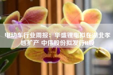 电动车行业周报：华盛锂电拟在湖北孝感扩产 中伟股份拟发行H股