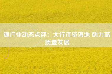 银行业动态点评：大行注资落地 助力高质量发展