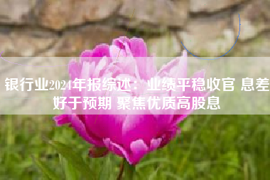 银行业2024年报综述：业绩平稳收官 息差好于预期 聚焦优质高股息