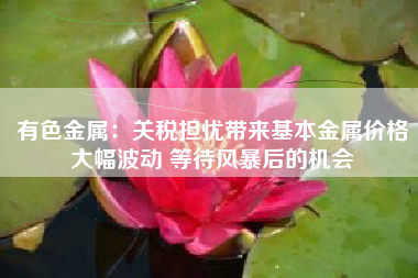有色金属：关税担忧带来基本金属价格大幅波动 等待风暴后的机会