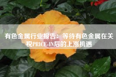 有色金属行业报告：等待有色金属在关税PRICE-IN后的上涨机遇