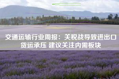 交通运输行业周报：关税战导致进出口货运承压 建议关注内需板块