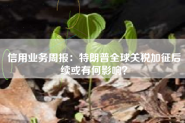 信用业务周报：特朗普全球关税加征后续或有何影响？