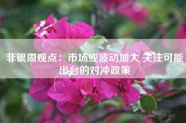 非银周观点:市场或波动加大 关注可能出台的对冲政策 非银周观点:市场或波动加大 关注可能出台的对冲政策