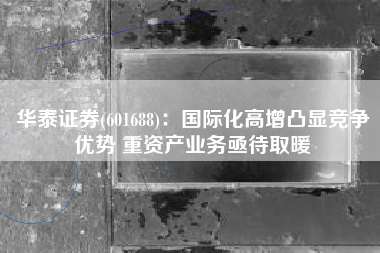 华泰证券(601688)：国际化高增凸显竞争优势 重资产业务亟待取暖