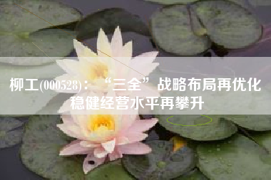 柳工(000528)：“三全”战略布局再优化 稳健经营水平再攀升
