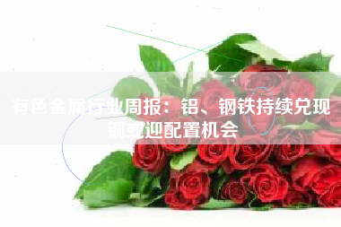 有色金属行业周报：铝、钢铁持续兑现 铜或迎配置机会