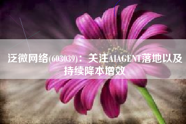 泛微网络(603039)：关注AIAGENT落地以及持续降本增效