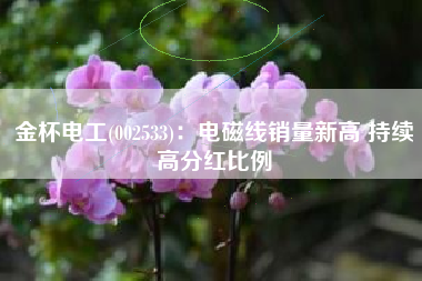 金杯电工(002533)：电磁线销量新高 持续高分红比例