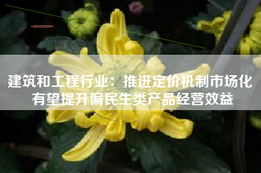 建筑和工程行业：推进定价机制市场化 有望提升偏民生类产品经营效益