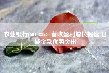 农业银行(601288)：营收盈利增长提速 县域金融优势突出