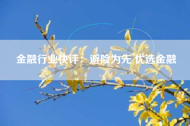 金融行业快评：避险为先 优选金融