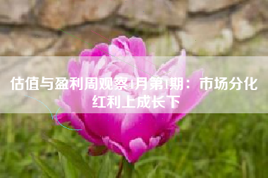 估值与盈利周观察4月第1期：市场分化 红利上成长下
