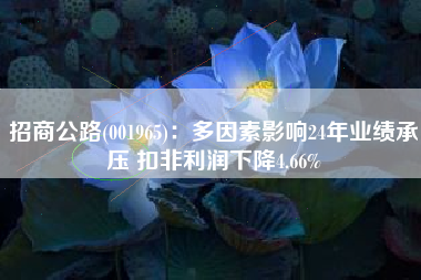 招商公路(001965)：多因素影响24年业绩承压 扣非利润下降4.66%