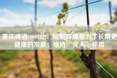 重庆啤酒(600132)：短期阵痛是为了长期更健康的发展；维持“买入”评级