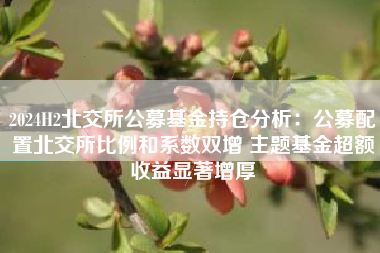 2024H2北交所公募基金持仓分析：公募配置北交所比例和系数双增 主题基金超额收益显著增厚