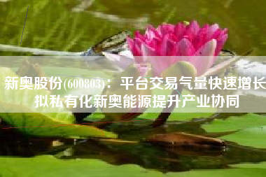 新奥股份(600803)：平台交易气量快速增长 拟私有化新奥能源提升产业协同
