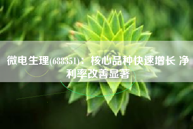 微电生理(688351)：核心品种快速增长 净利率改善显著