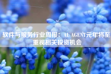 软件与服务行业周报：AL AGENT元年将至 重视相关投资机会