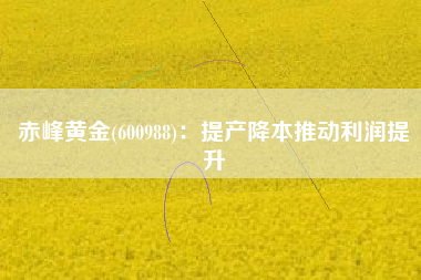 赤峰黄金(600988)：提产降本推动利润提升