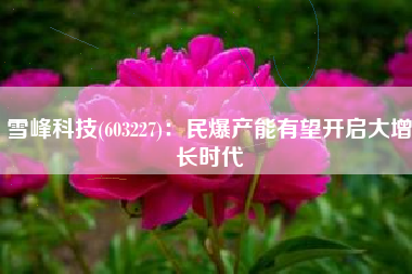 雪峰科技(603227)：民爆产能有望开启大增长时代