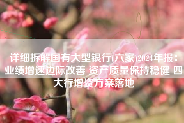 详细拆解国有大型银行(六家)2024年报：业绩增速边际改善 资产质量保持稳健 四大行增资方案落地