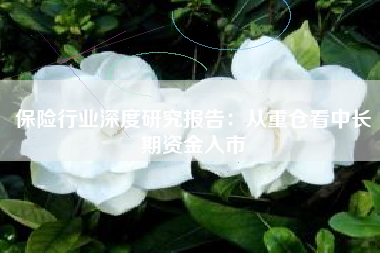 保险行业深度研究报告：从重仓看中长期资金入市