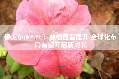 伊戈尔(002922)：业绩显著提升 全球化布局有望开启新成长