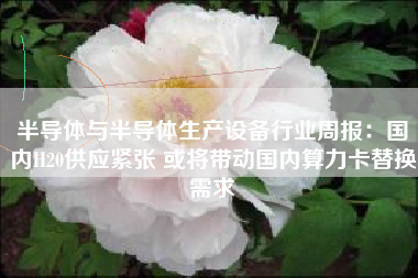 半导体与半导体生产设备行业周报：国内H20供应紧张 或将带动国内算力卡替换需求