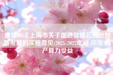 通信：《上海市关于促进智算云产业创新发展的实施意见(2025-2027年)》印发 国产算力受益