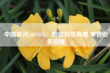 中国银河(601881)：固收投资高增 零售业务回暖