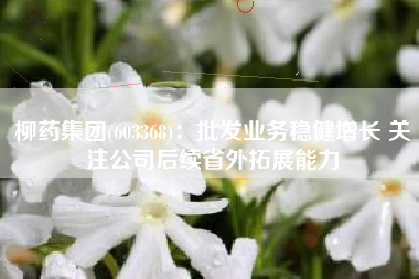 柳药集团(603368)：批发业务稳健增长 关注公司后续省外拓展能力