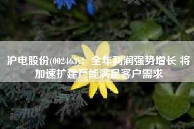 沪电股份(002463)：全年利润强势增长 将加速扩建产能满足客户需求