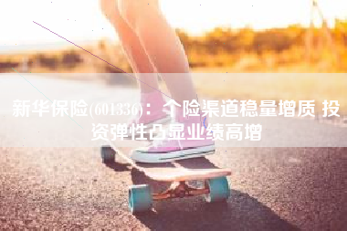 新华保险(601336)：个险渠道稳量增质 投资弹性凸显业绩高增