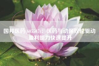 国邦医药(605507)：医药与动保双轮驱动 盈利能力快速提升