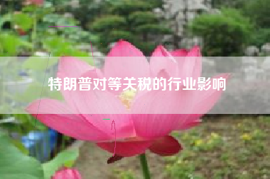 特朗普对等关税的行业影响