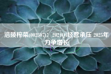 涪陵榨菜(002507)：2024Q4经营承压 2025年力争增长