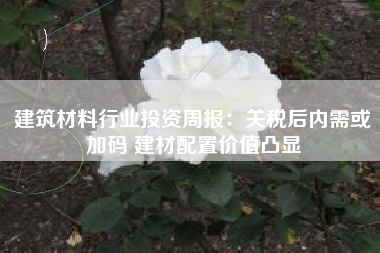 建筑材料行业投资周报：关税后内需或加码 建材配置价值凸显