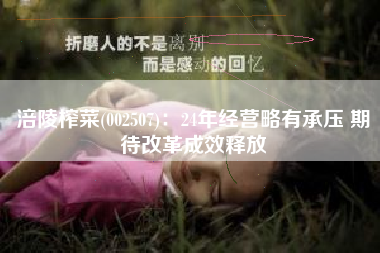 涪陵榨菜(002507)：24年经营略有承压 期待改革成效释放
