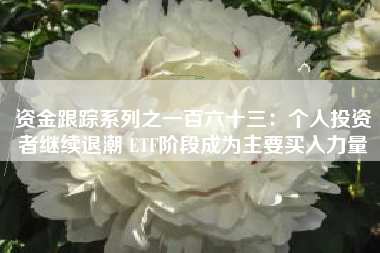 资金跟踪系列之一百六十三：个人投资者继续退潮 ETF阶段成为主要买入力量