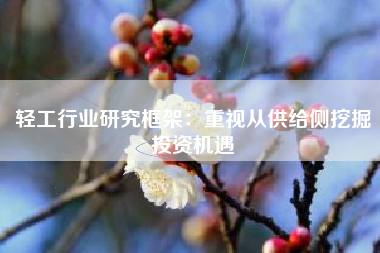 轻工行业研究框架：重视从供给侧挖掘投资机遇