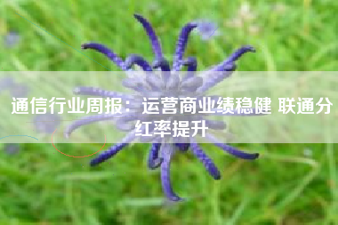 通信行业周报：运营商业绩稳健 联通分红率提升