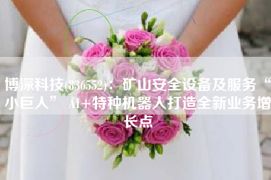博深科技(836552)：矿山安全设备及服务“小巨人” AI+特种机器人打造全新业务增长点