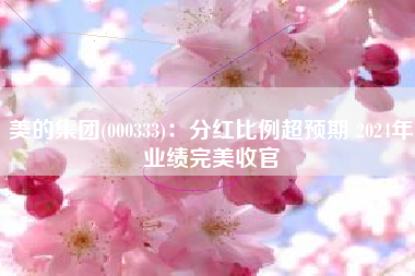 美的集团(000333)：分红比例超预期 2024年业绩完美收官