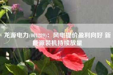 龙源电力(001289)：风电提价盈利向好 新能源装机持续放量