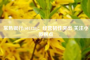 常熟银行(601128)：经营韧性突出 关注小微拐点