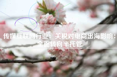 传媒互联网行业：关税对电商出海影响：全面转向半托管