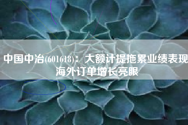 中国中冶(601618)：大额计提拖累业绩表现 海外订单增长亮眼