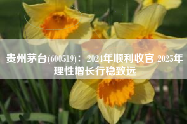 贵州茅台(600519)：2024年顺利收官 2025年理性增长行稳致远